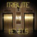 альбом Avicii - Levels (Avicii Tribute) - Single